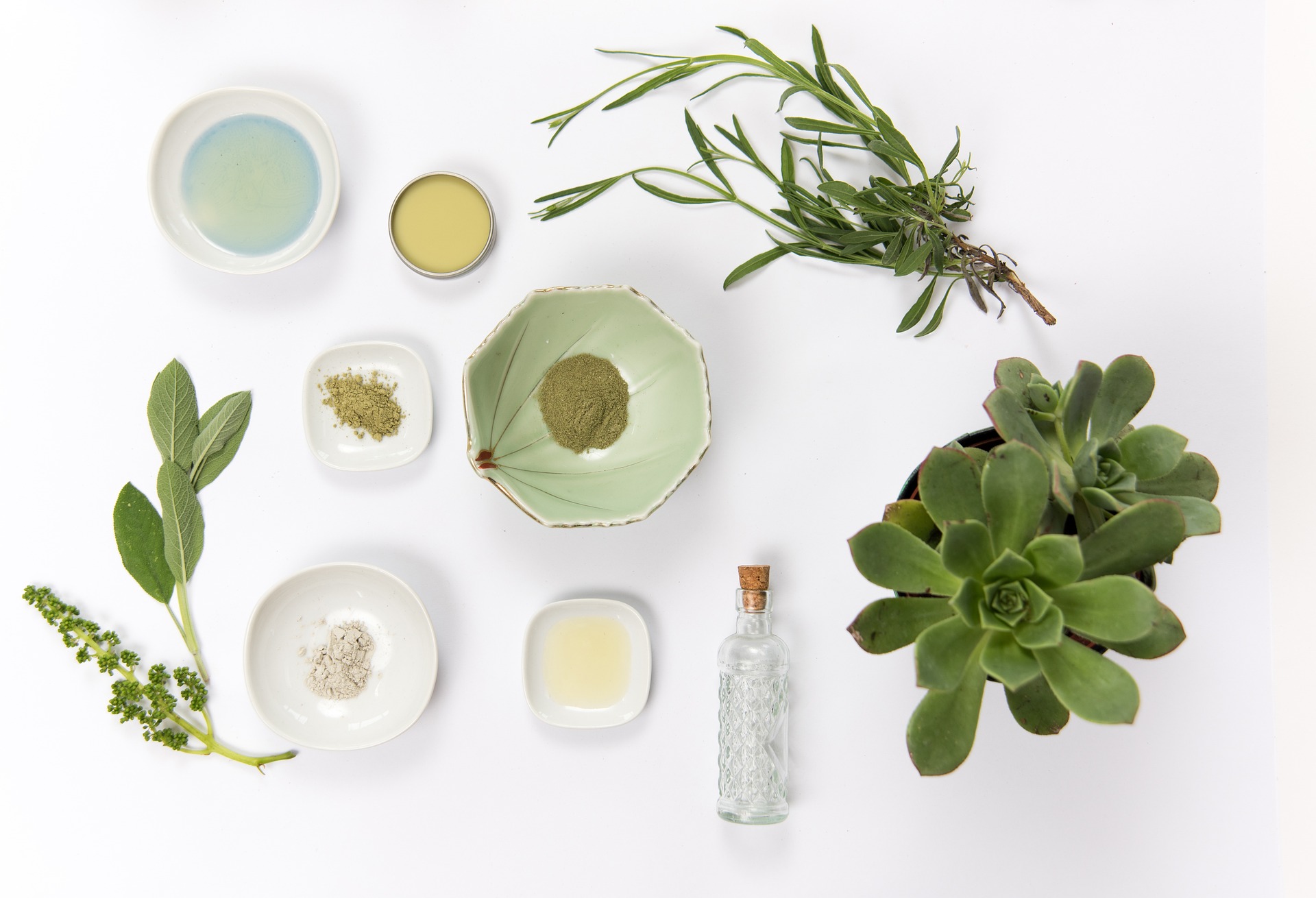 Unscented Tallow & Honey Balm