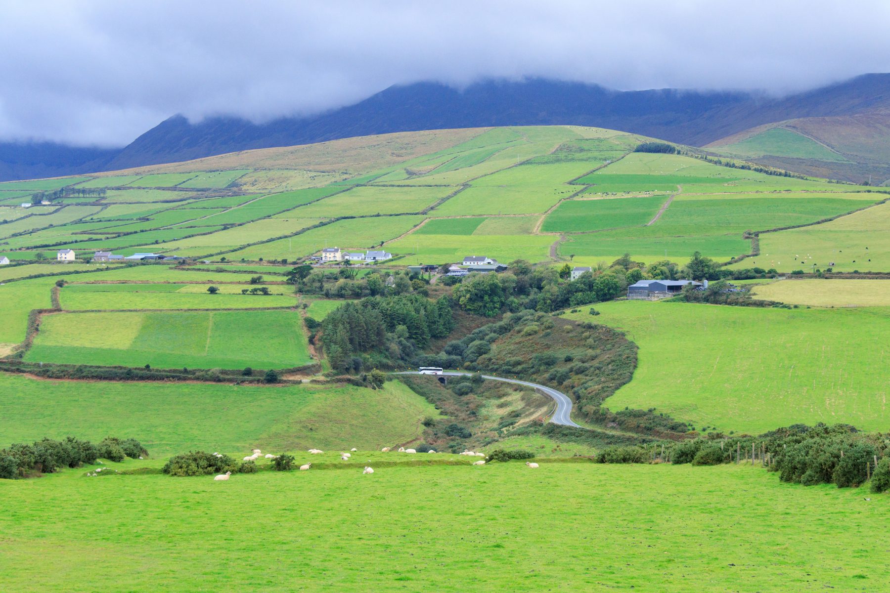 Lush green rolling pastureland in Co. Kerry